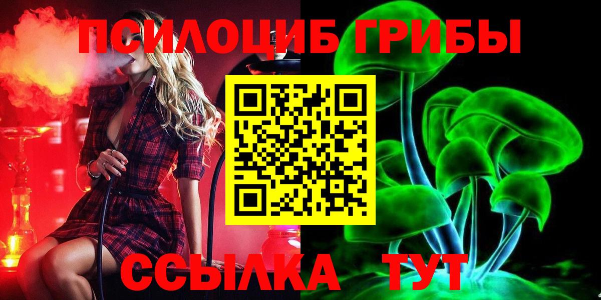 Галлюциногенные грибы Cubensis Бутурлиновка